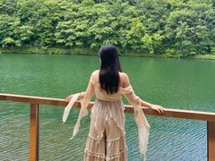 -龙道沟景区