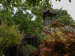 -芥子园