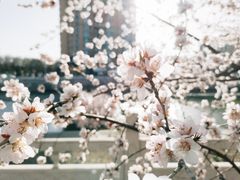 -满都海公园