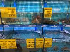 -坛南湾阿强农家乐.海鲜大排档老字号(福州地标美食店)