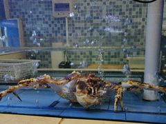 -红顶食府(滨湖九号店)