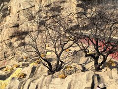 -青岩寺风景区