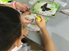 -上海昆虫博物馆