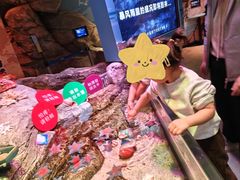 -沈阳海洋探索中心