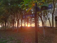 -莫子山公园