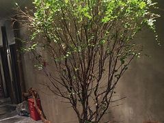 -森SPA·泰式按摩·精油Massage(宝安中心店)
