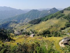 -紫鹊界梯田景区