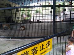 -广东茂名森林公园