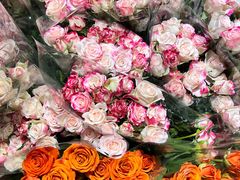 -循礼门鲜花花市(武汉循礼门店)