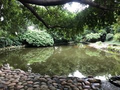 -成都市活水公园