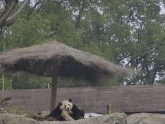 -武汉动物园