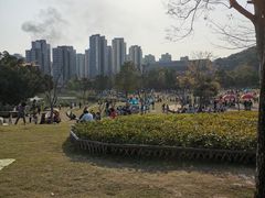 -牛岗山公园
