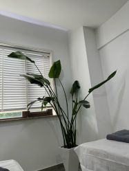 -上海首尔丽格医疗美容医院