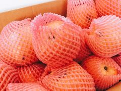 -江杨农产品批发市场