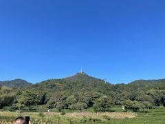 -灵顺寺