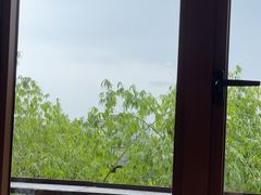 -生如夏花泰式火锅(西村黑金店)