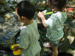 -成都市活水公园