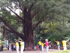 -晓港公园