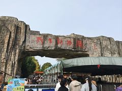 -合肥野生动物园