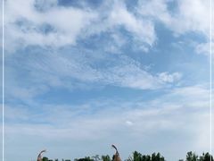 -云里小坐·海泉湾·团建·宴席·下午茶(金堂海泉湾店)