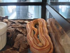 -万达广场(南京江宁店)