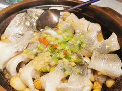 -点都德·毕德寮
