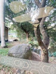 -爱帝宫月子中心(罗湖别墅院)