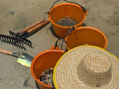 -北海金海湾红树林生态旅游区