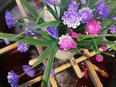 冰火九宫格老火锅-巴九门重庆老火锅(光大店)