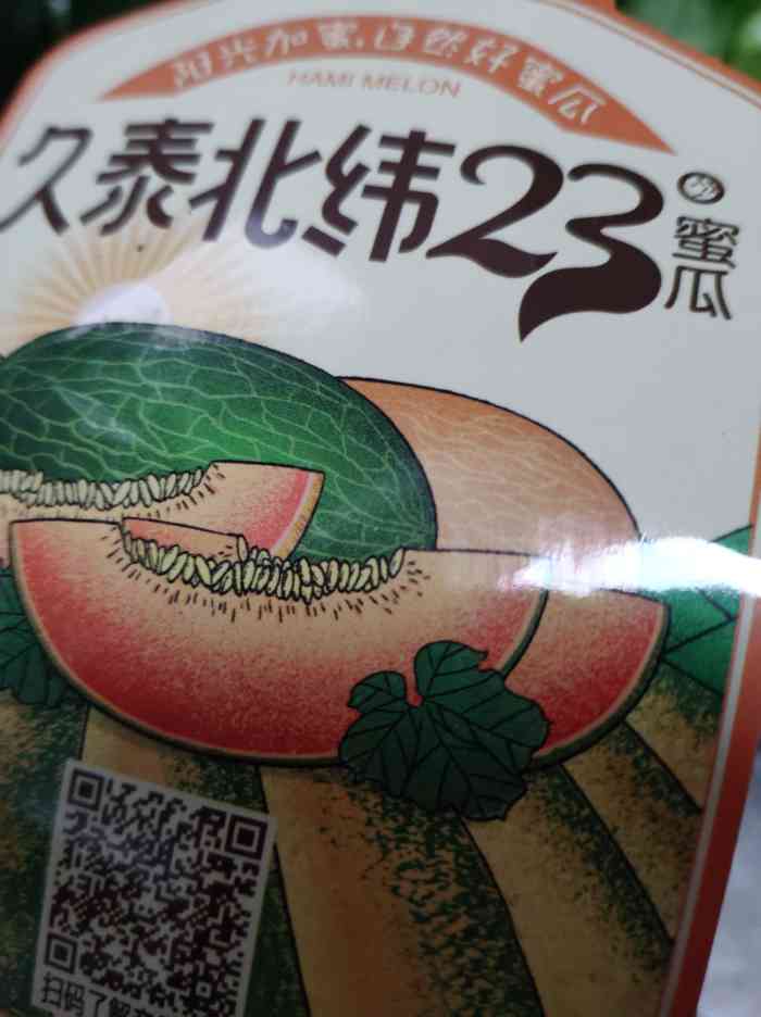 "-大众点评移动版