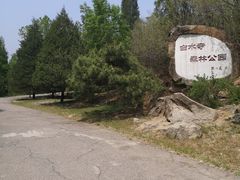 -白水寺森林公园