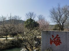 -香雪海