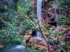 -上海虹桥宾馆味翠餐厅