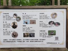 -汤旺河林海奇石景区