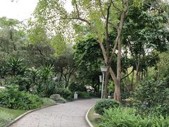 -金花茶公园