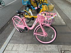-美食汇自助餐厅(成都万达瑞华酒店)