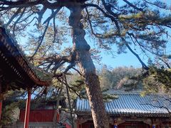 -潭柘寺景区