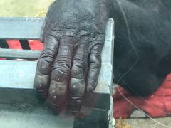 -鄂尔多斯野生动物园