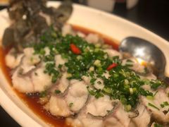 沸腾老虎斑-云天楼国鼎喜宴中心(国鼎店)