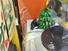 -谜盒子奇幻密室(南屏店)