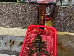 -蚝专家(北滘店)