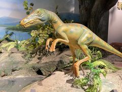 -辽宁古生物博物馆