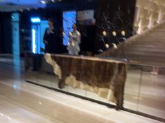 -皇室假期美食水疗会(春风路店)