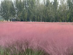 -汉长安城未央宫国家考古遗址公园