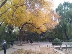 -玲珑塔公园