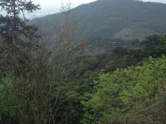 -广州市石门国家森林公园