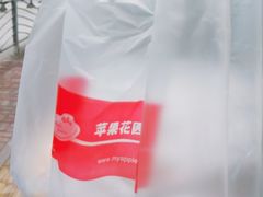 -苹果花园(龙漕路店)