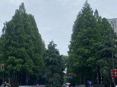 -东南大学(四牌楼校区)