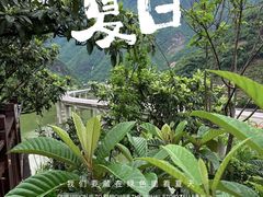 -天生桥景区