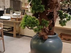 -宁海安岚·南溪阁全日餐厅